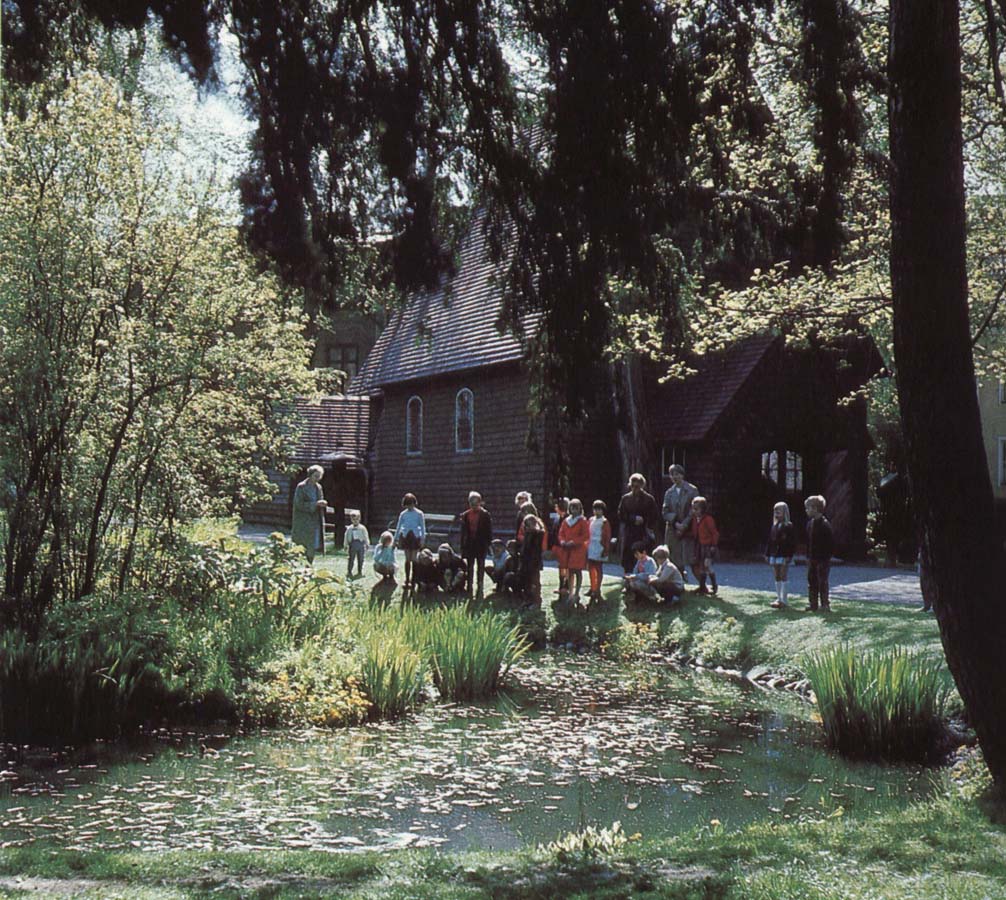 kulturen salg och kabbeleka blommar vid dammen