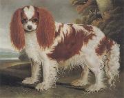 J.L.Clark King Charles Spaniel II oil painting artist