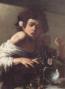 Caravaggio, Boy Bitten by a Lizard