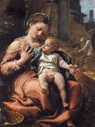 Correggio, The Madonna of the Basket