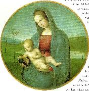 Raphael, madonna conestabile