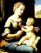 Raphael, madonna of the pinks