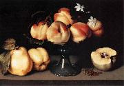 Galizia,Fede, Still-Life