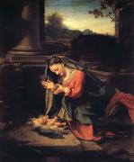 Correggio, Madonna worshipping the Child