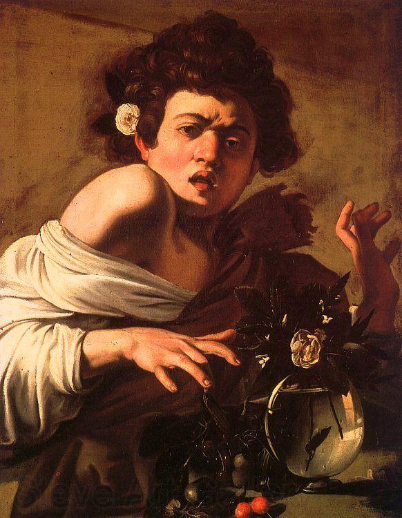 Caravaggio Youth Bitten by a Green Lizard