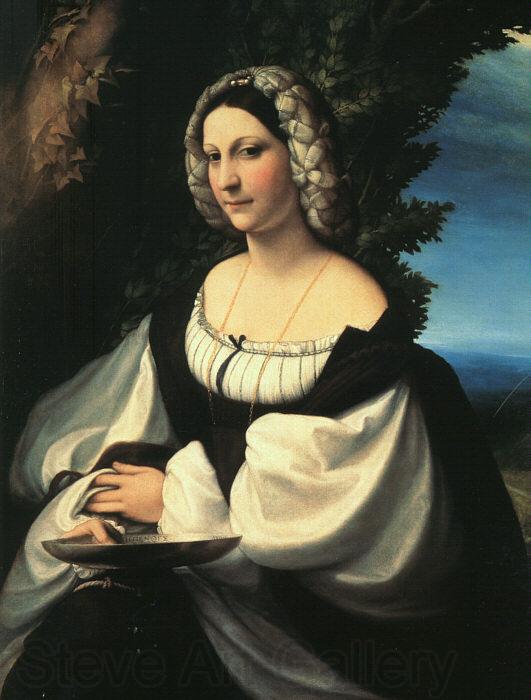 Correggio Portrait of a Gentlewoman