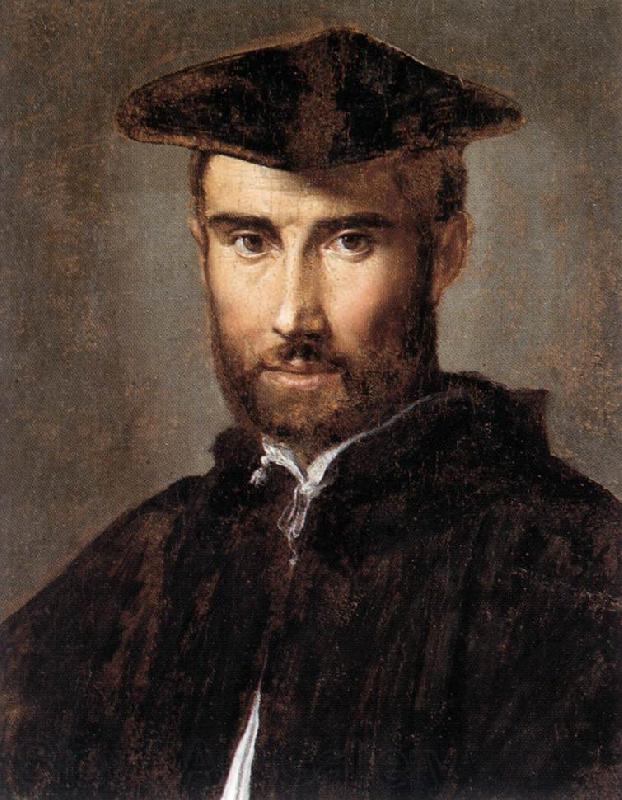 PARMIGIANINO Portrait of a Man ag