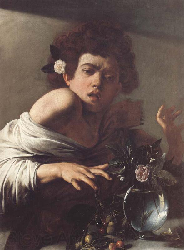 Caravaggio Boy Bitten by a Lizard