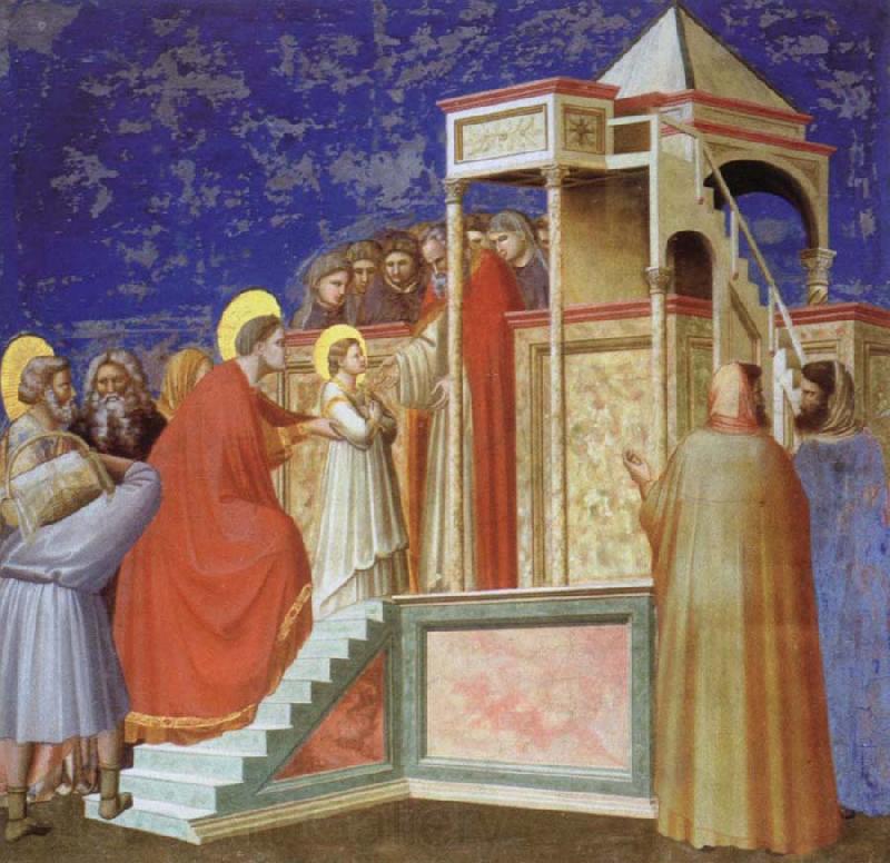 Giotto Presentation of the VIrgin ar the Temple