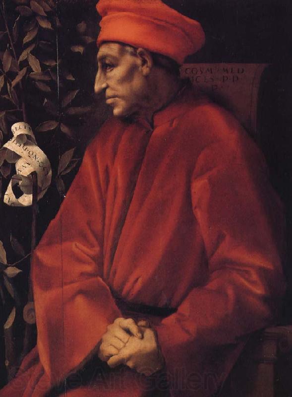 Pontormo Old Cosimo