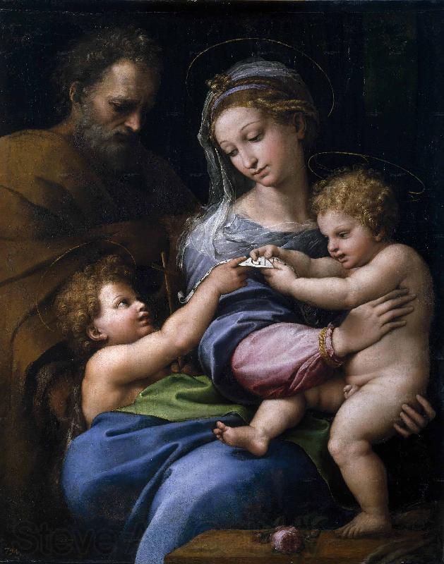 Raphael Madonna of the Rose