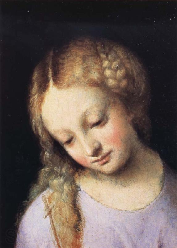 Correggio Details of Madonna and Child with the Young Saint John